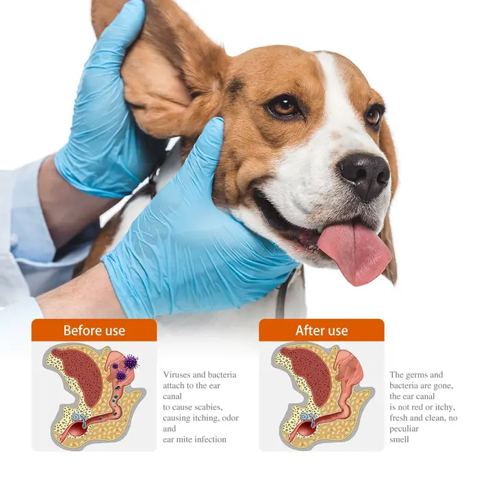 Gouttes auriculaires pour animaux de compagnie : Traitement contre les puces