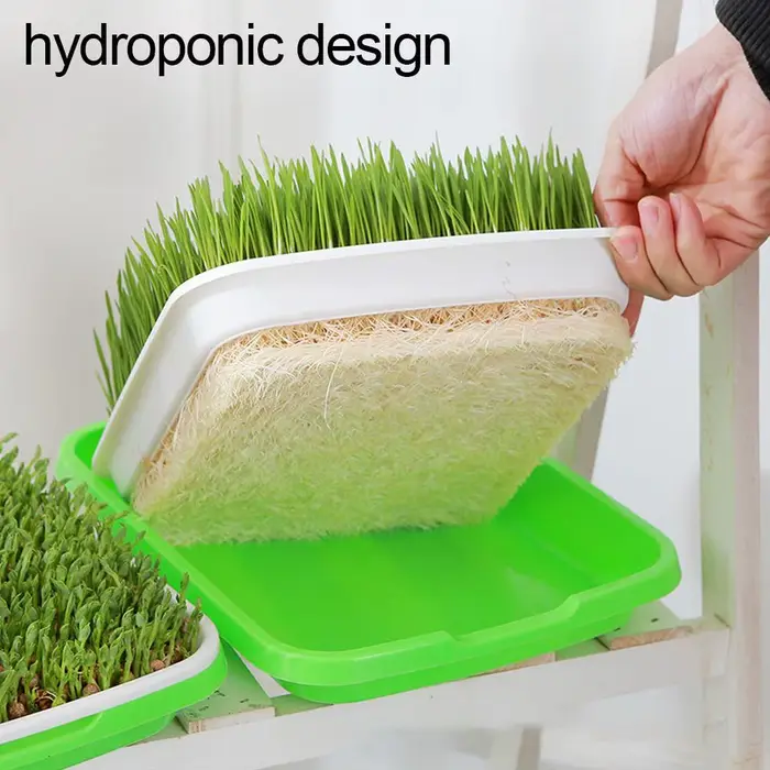 Kit de germination de graines hydroponiques sans terre avec couvercle pour jardin