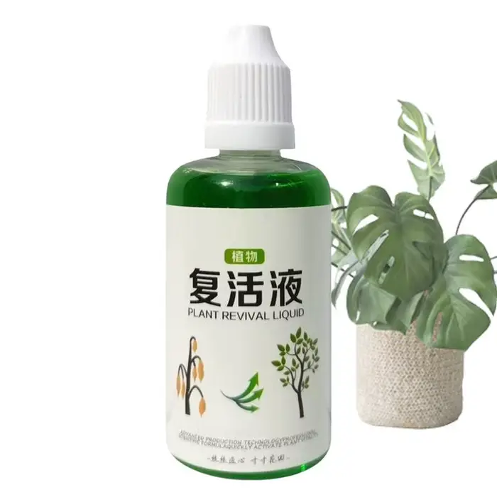 Agent d'enracinement succulent 50ml, engrais nutritif pour racines, Solution de croissance naturelle