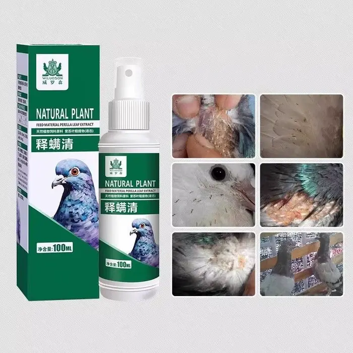 Spray pour éliminer les poux de pigeons