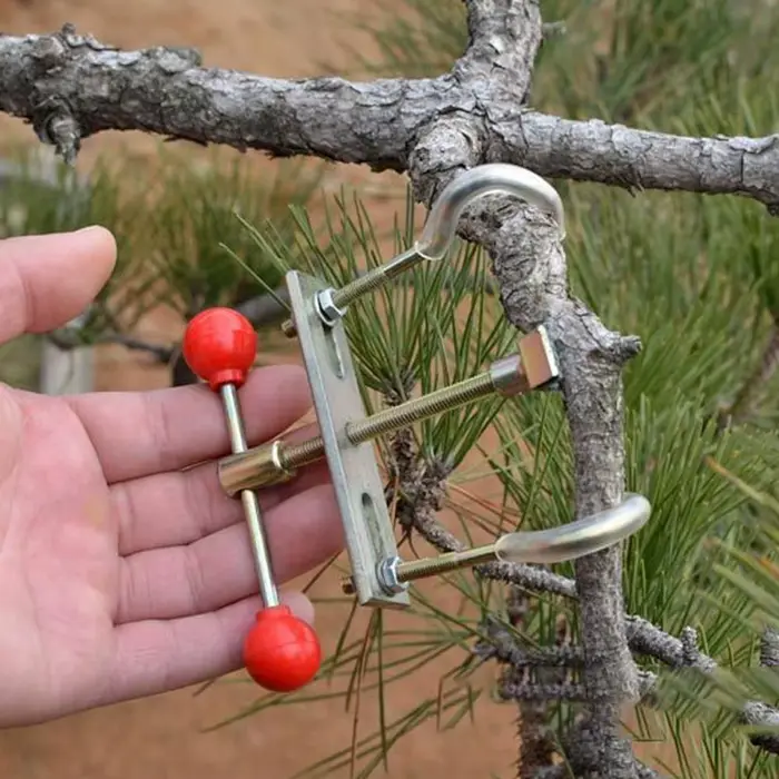 Kit d'outils de cintreuse de branche de bonsaï