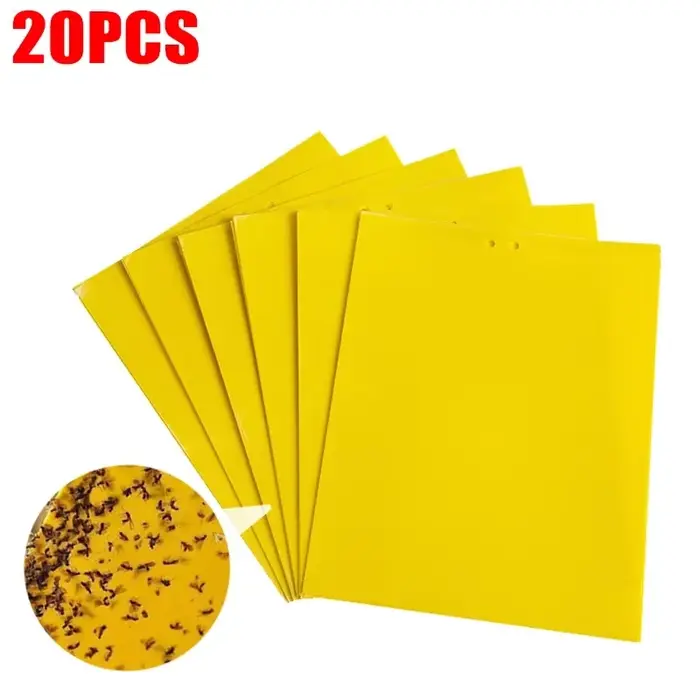 Autocollant Double face pour pièges à mouches des fruits, 20 à 200 pièces, planche collante forte, p