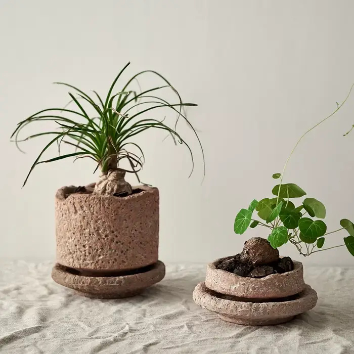 Pot de Plante Verte Faite à la Main avec Plateau