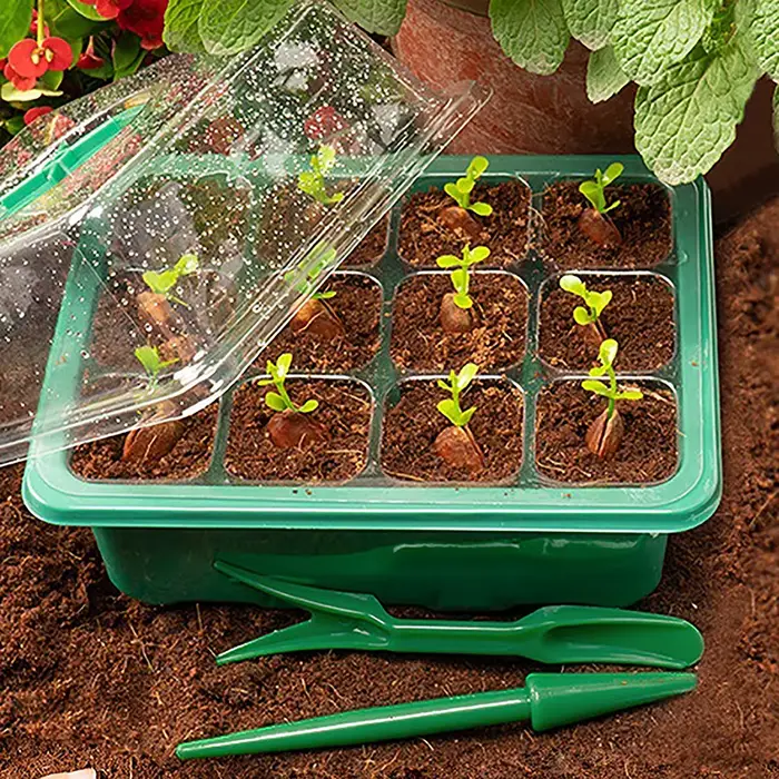 Pots de plantes en plastique à trous, 6/12 cellules, boîte de culture, pots de semis de plantes, jar