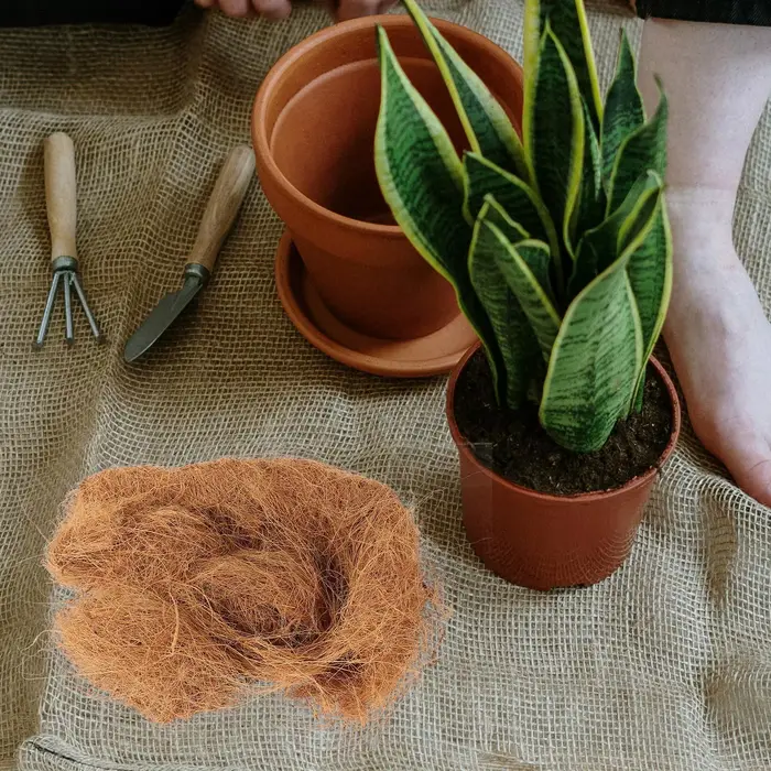 Pot de plante en fibre de coco