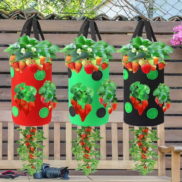 Sac de plantation suspendu pour fraises et tomates, pot de culture vertical pour fraises (1 pièce)