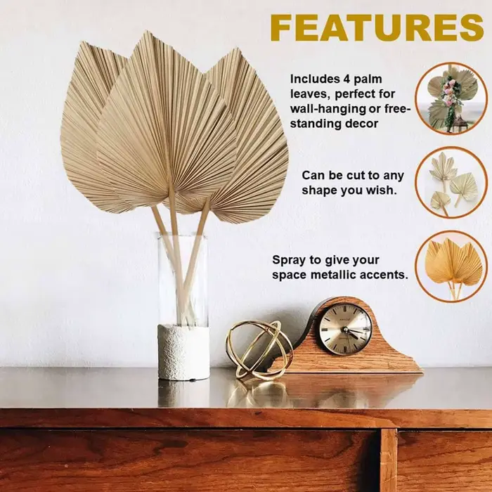8 feuilles de palmier séchées naturelles