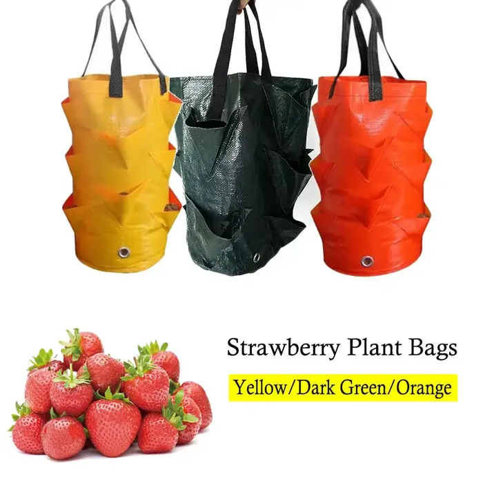Sac de culture de plantes fraises 3 gallons, conteneur de tomates en plein air, sacs multi-bouche su