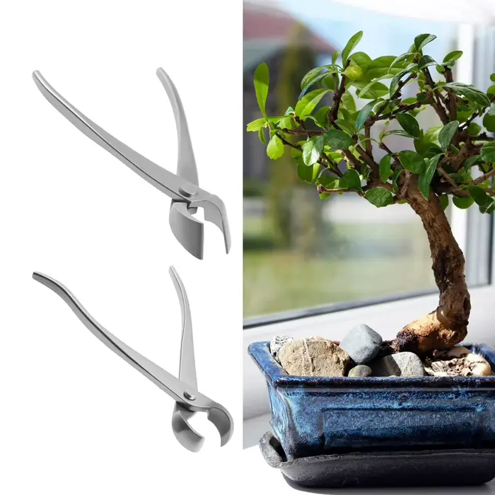 Nouveau Kit d'outils pour bonsaï, démarreur de bonsaï en acier inoxydable, Kit de coupe, outils d'éc