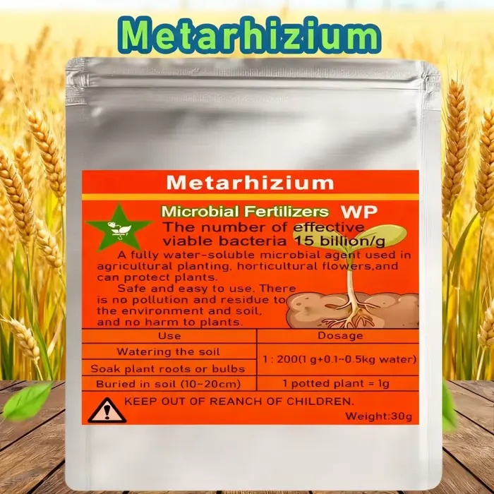 Engrais Microbien Hydrosoluble Écologique Metarhizium 30g – Protège les Plantes – Biofertilisant Nat