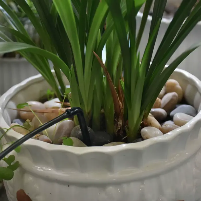 Système d'irrigation goutte-à-goutte, 2L, 4L, 8L, 2/4 voies, flèche, connecteur compte-gouttes, sépa