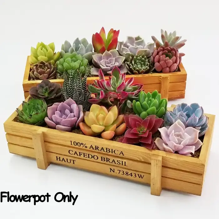 Pots décoratifs pour décoration de jardin