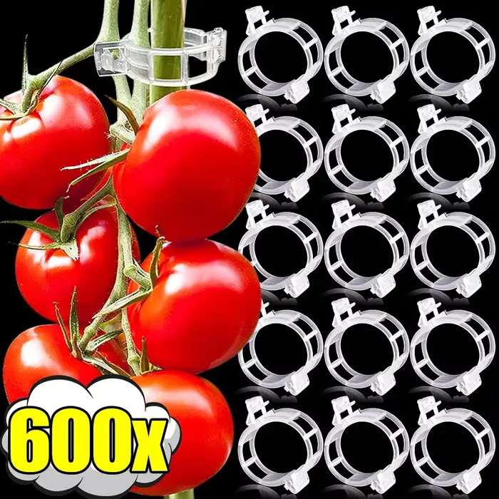 Clips de plantes réutilisables, 600-10x, supports de tige de vigne et de tomate, pinces de greffage,