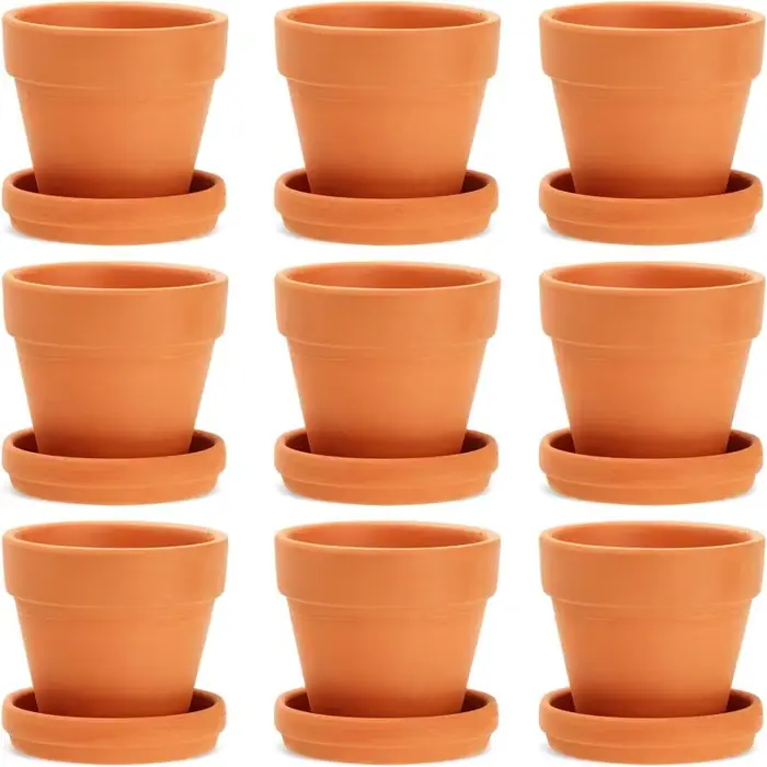 Paquet de 9 petits Pots en terre cuite de 3 pouces avec soucoupes pour plantes succulentes
