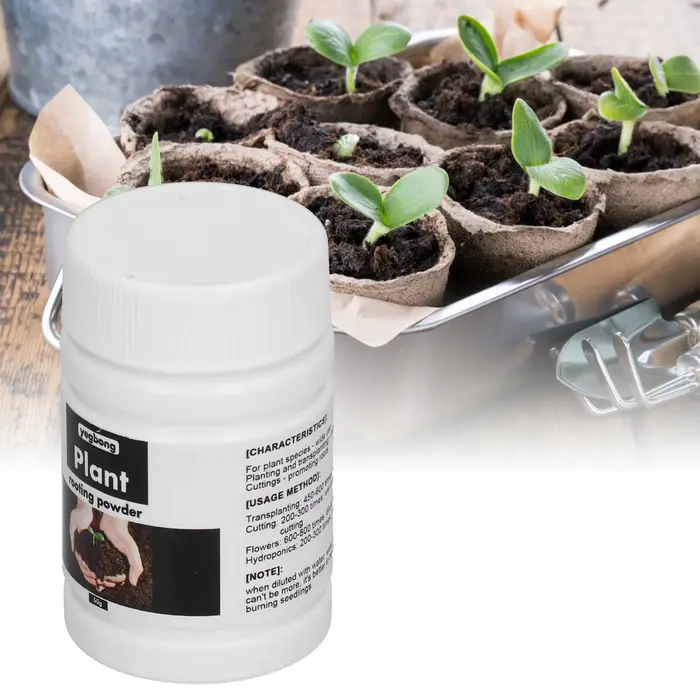 Fertilisateur de racines en poudre d'enracinement 50g, pour légumes, arbres fruitiers, transplantati
