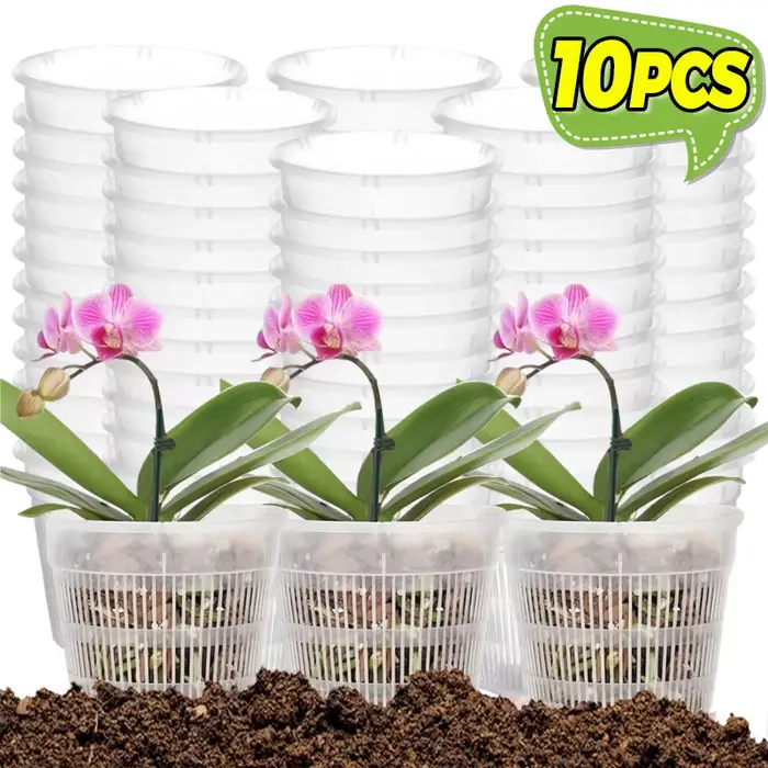 Pots d'orchidées avec trous