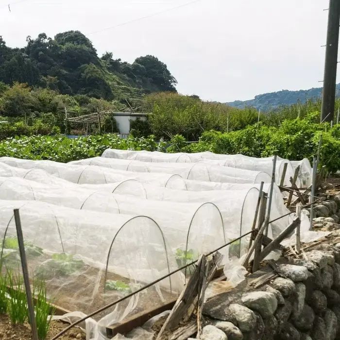 Cerceaux de serre adaptés aux tunnels de plantes plus larges