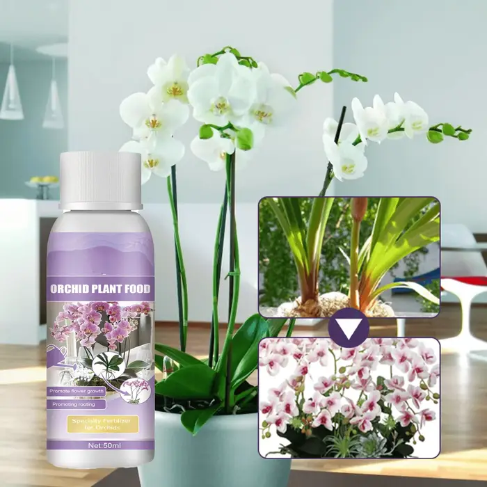 Liquide de croissance hydroponique pour plantes de jardin, complément de nutrition pour orchidées, c