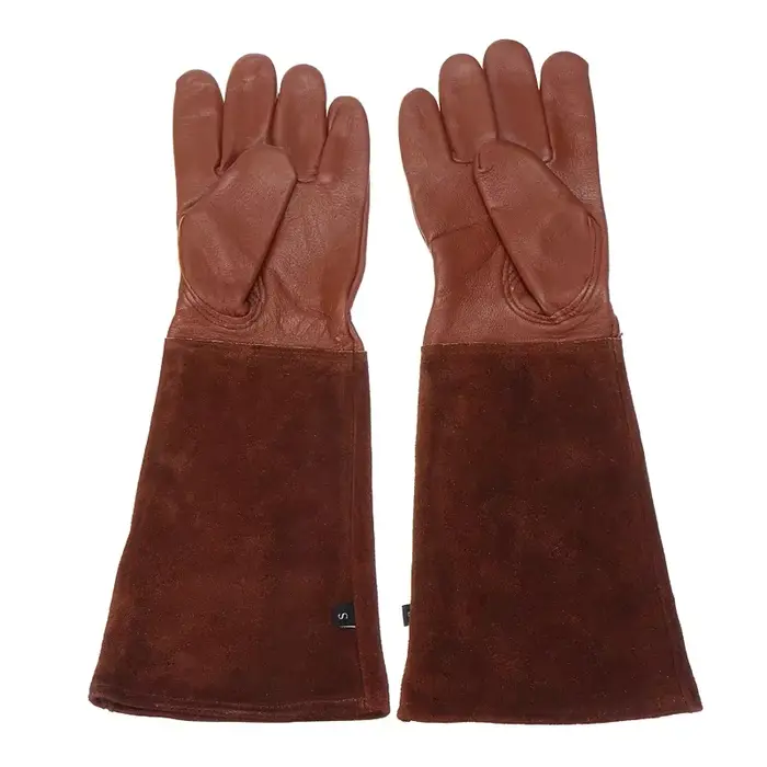 1 paire de gants de jardinage robustes pour la taille des roses, résistants aux épines, à manches lo