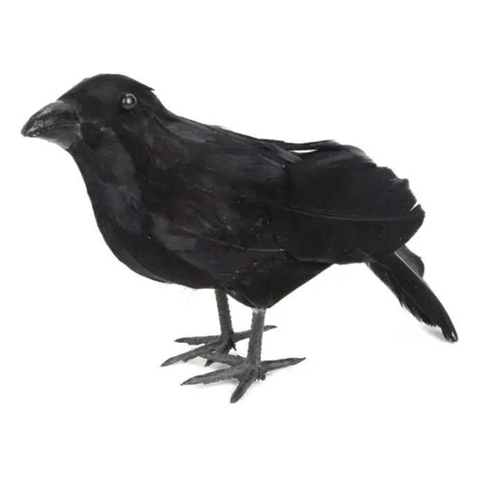 🌟 Corbeau noir de simulation, répulsif anti-nuisibles, anti-pigeons, décoration de jardin, décoratio