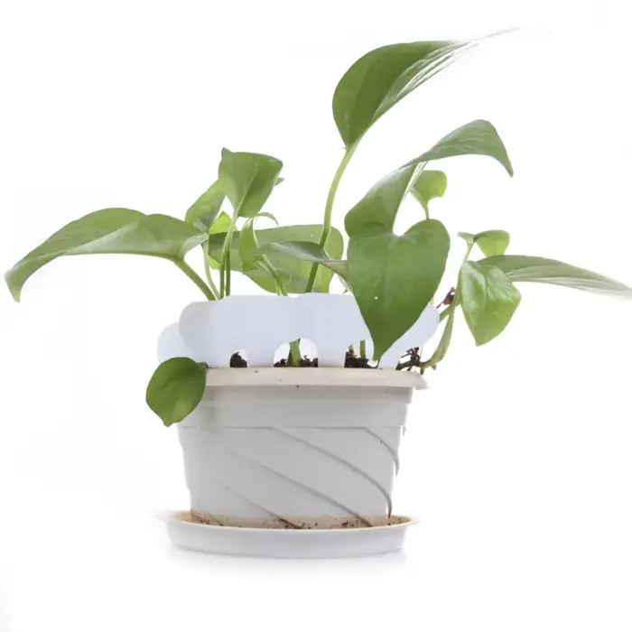 Étiquette pour plante de pépinière en plastique, 100 pièces, type T, pot de jardin, jardinières, éti