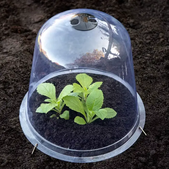 Mini cloches de serre en plastique réutilisables