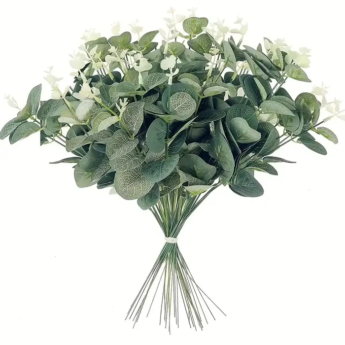 Tiges de feuilles d'eucalyptus