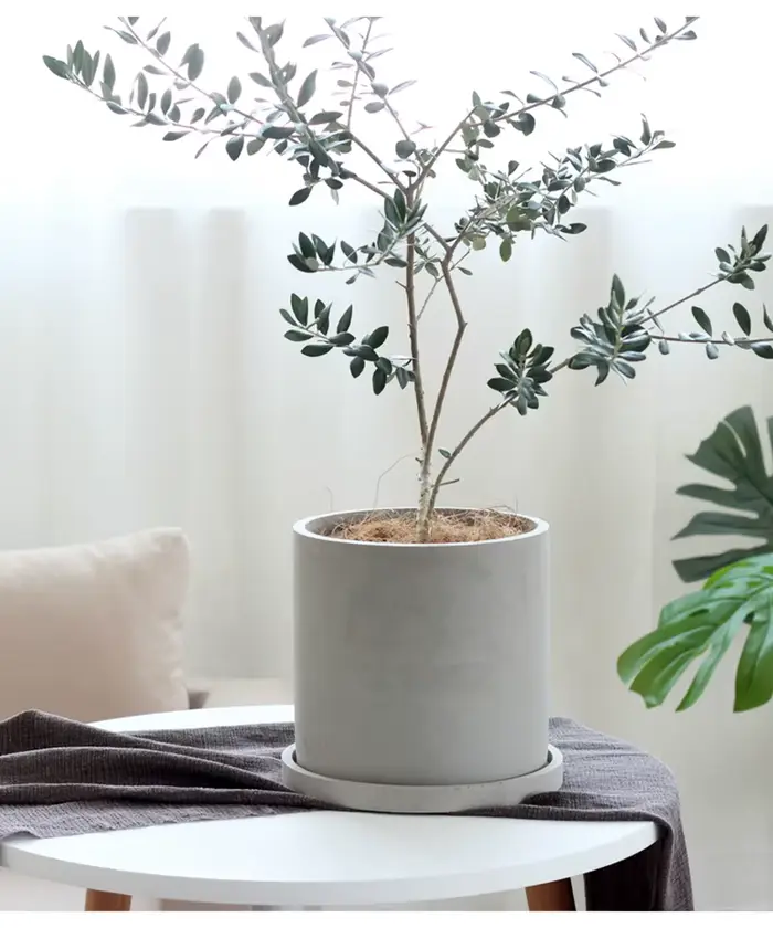 Moule pour jardin en béton pot de fleur