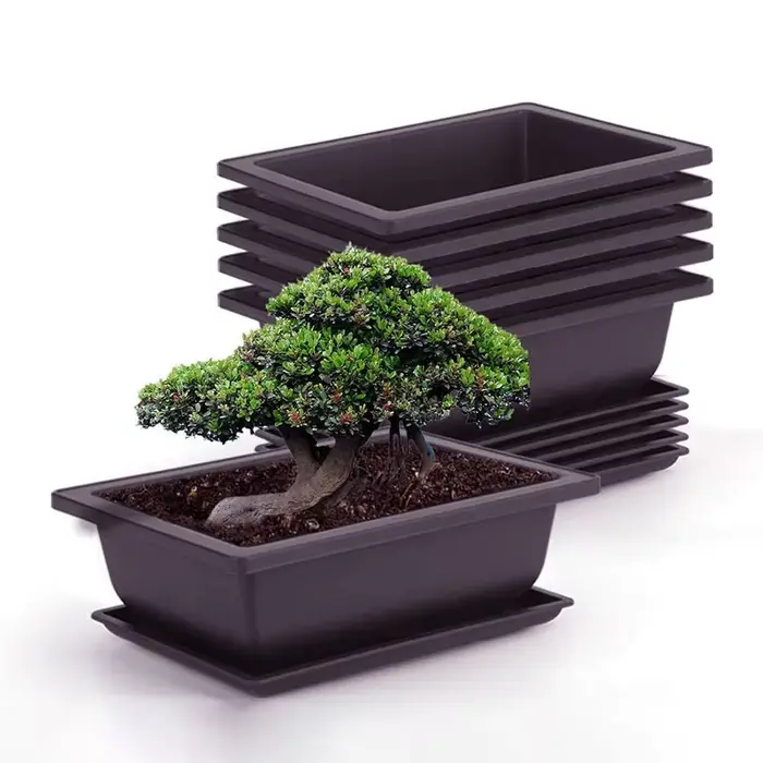 Plateau de jardinage pour bonsaï