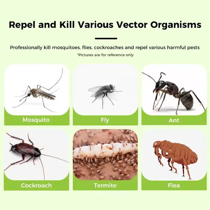 Imidaclopride 20% SC, produits anti-termites non répulsifs