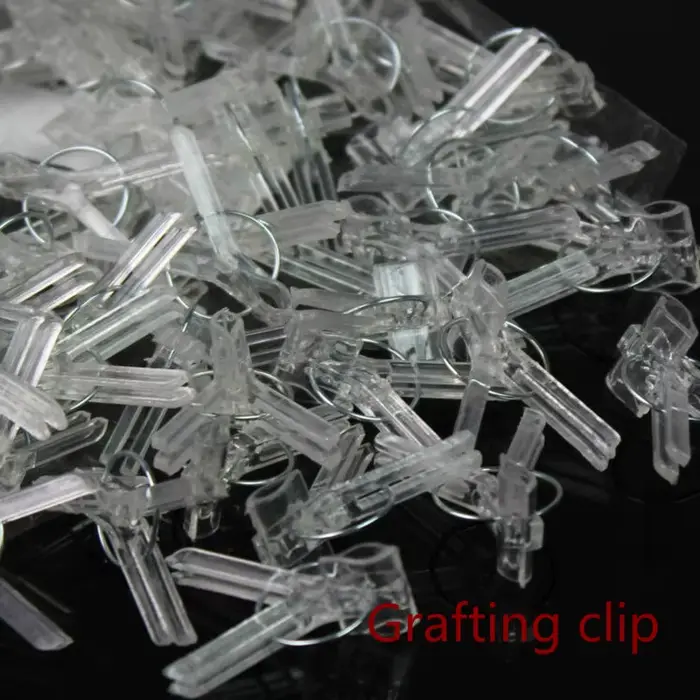 Clips de greffage pour plantes, 100 pièces, pinces de fixation en plastique, outils de jardin pour c