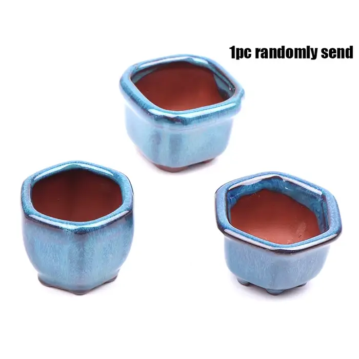Mini pots de plantes avec trous, pot de fleurs bonsaï de style chinois, jardinière de jardin, artisa