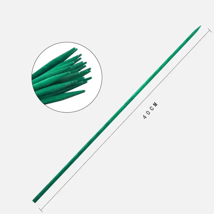 Bâtons verts en bambou, 20 pièces, Support de plante, bâton de fleur, tige d'orchidée, bâtons de pla