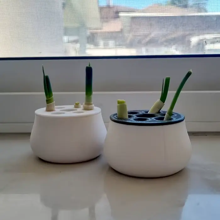 Pots à fleurs pour oignons verts
