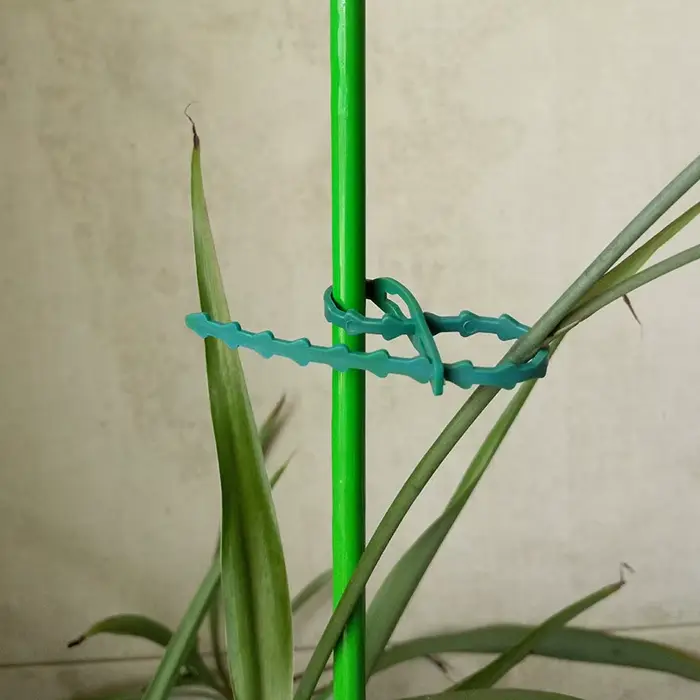 Attaches de câbles de jardin réutilisables, 50/100 pièces, Support de plantes, attaches d'arbustes, 