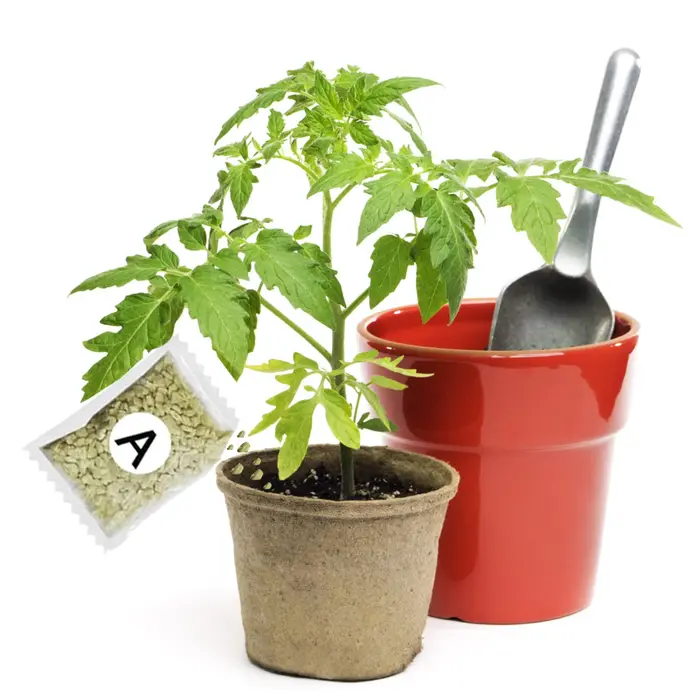 Engrais de jardin A + B pour plantes hydroponiques concentrées, facile à utiliser, favorise l'effica