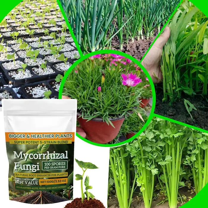 Poudre d'engrais pour plantes, 100g, pour la croissance des plantes, nutritif, supplément d'enracine