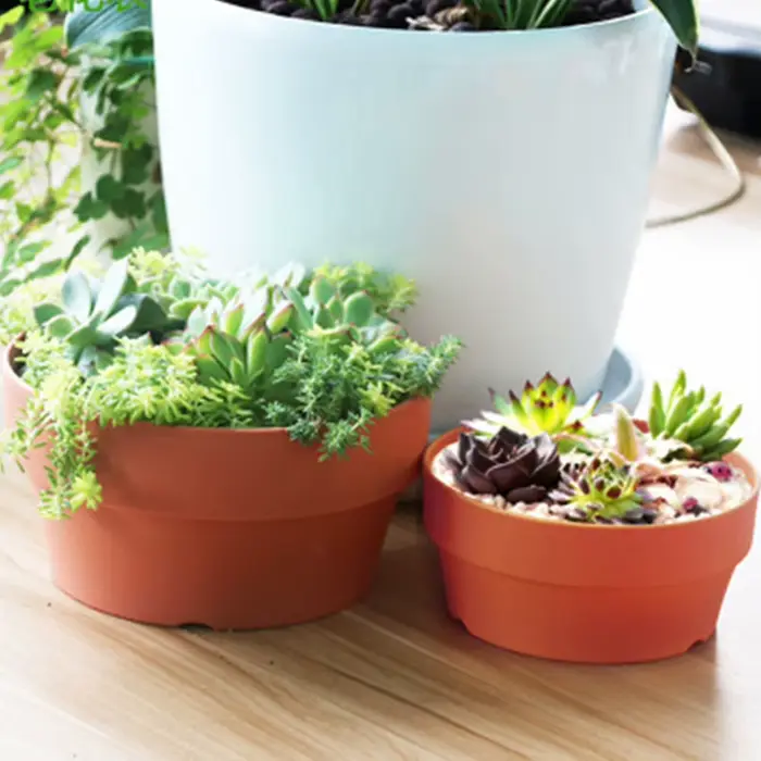 Mini pots de fleurs succulentes, Mini jardinières, décoration de bureau, accessoires de jardin et de