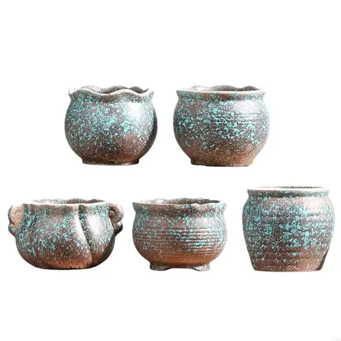 Ensemble pots fleurs en céramique, petits Pots 5 pièces avec formes mixtes pour usage domestique en 