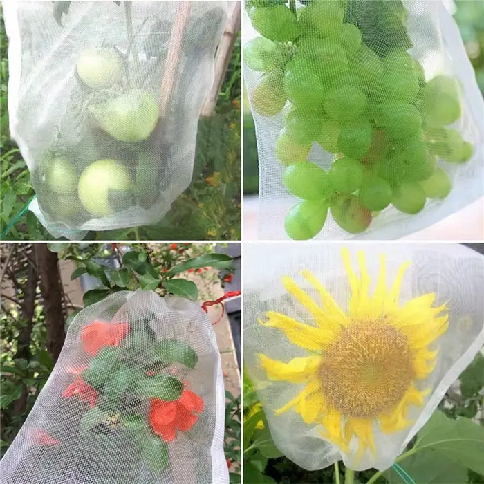 Sacs de Protection des Fruits, 10 à 100 pièces, sacs en filet pour fruits avec cordon de serrage, sa