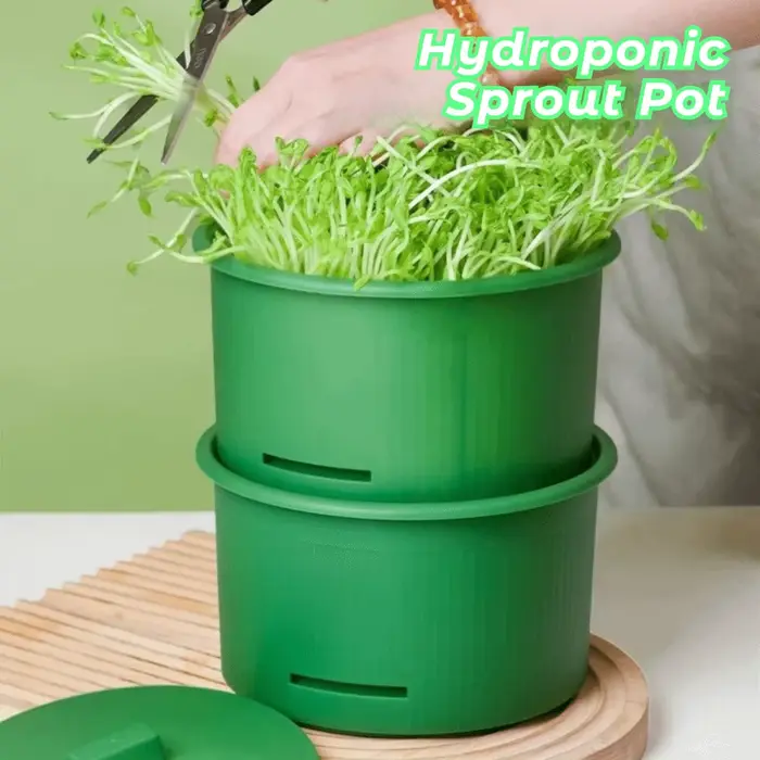 Pots de pépinière en plastique pour germes de haricots