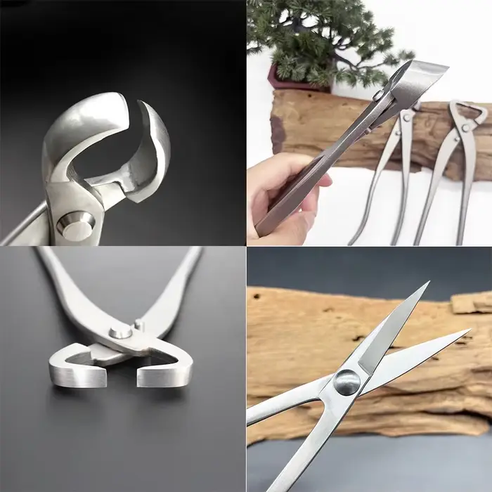 Kit d'outils d'élagage de bonsaï en acier inoxydable
