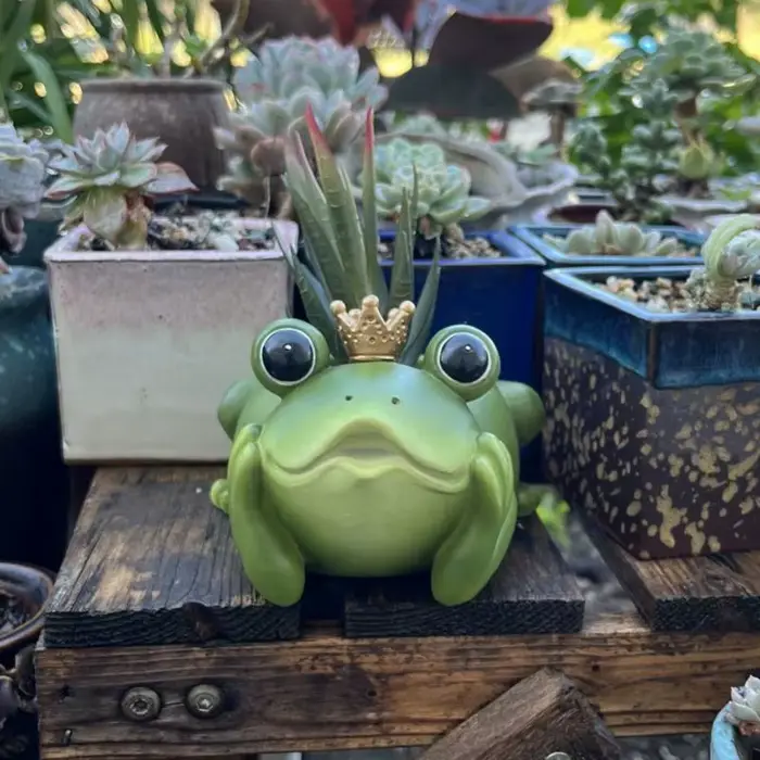 Jardinière de grenouille avec couronne