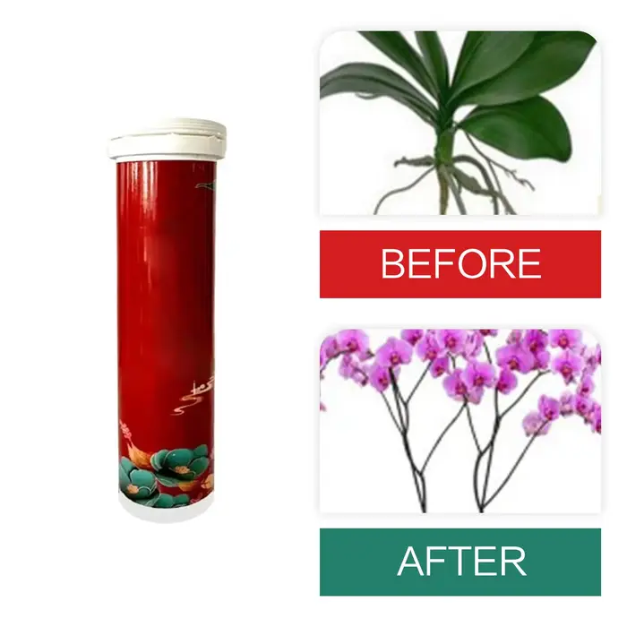 Comprimés de récupération universels à dégagement lent pour jardin, orchidées, plantes succulentes, 