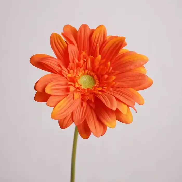 Branche de fleur artificielle Gerbera hydratante au toucher, décoration de mariage pour la maison, c