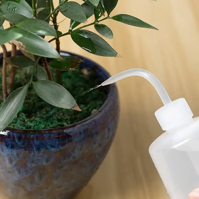 Bouteille de pulvérisation à pression en plastique, bouilloire, bouteille d'arrosage pour fleurs et 