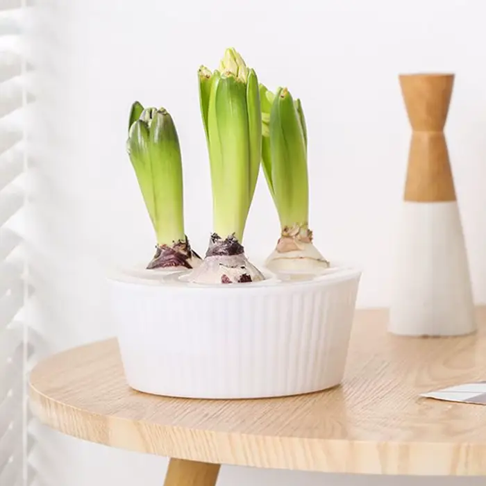 Jardinière hydroponique à 3 trous pour ampoules de fleurs, Vase en jacinthe en verre pour le jardina