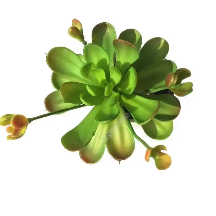 Plante artificielle pelouse bricolage fond mur Simulation herbe feuille décoration de mariage tapis 