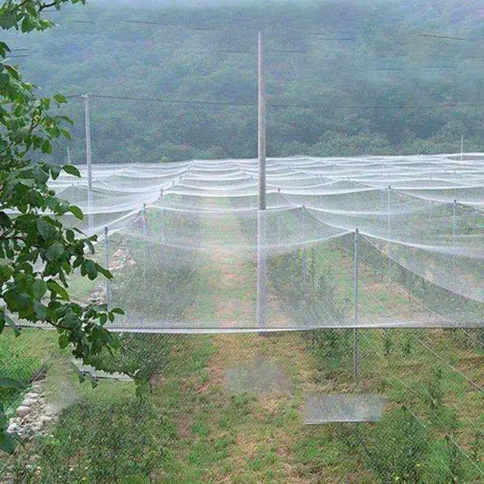 Filet anti-oiseaux Extra résistant, maille de jardin en Nylon pour culture de fruits, plantes, arbre