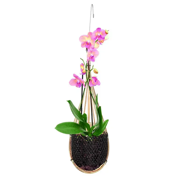 Jardinière d'orchidée suspendue, paniers suspendus d'orchidées tissés en bambou avec crochet en méta